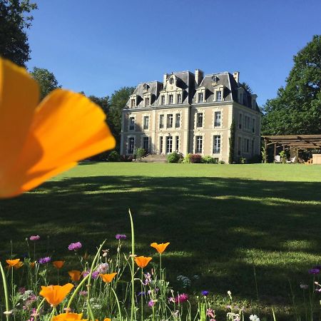 Chateau Des Essards Avec Piscine Et Jacuzzi Langeais Exterior foto