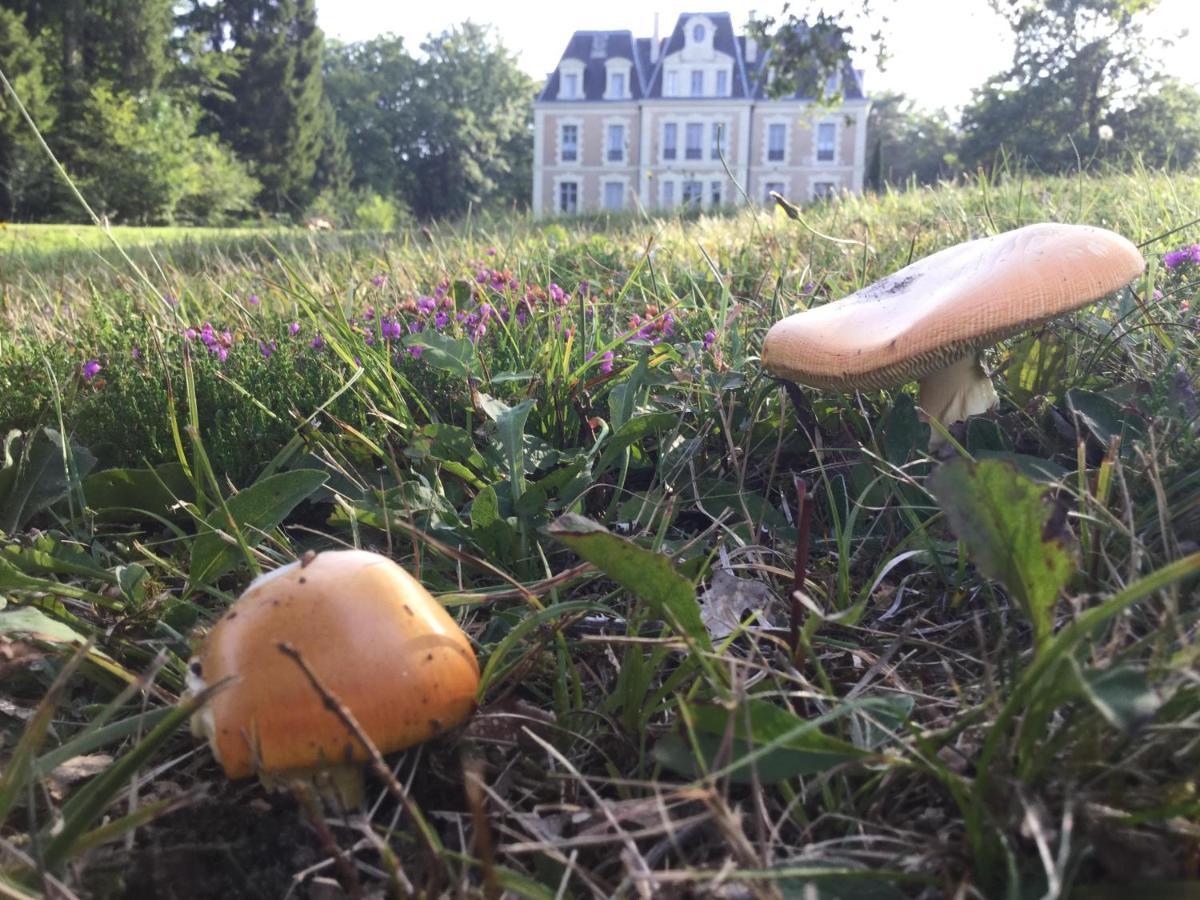 Chateau Des Essards Avec Piscine Et Jacuzzi Langeais Exterior foto